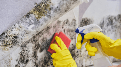 person removing mold from the wall